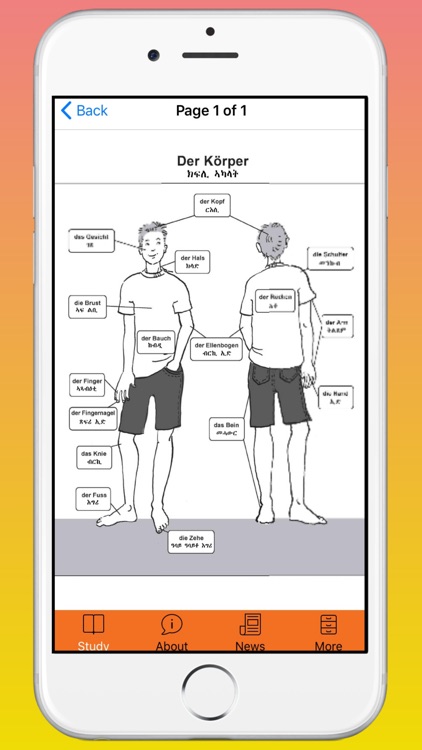 Tigrigna-German Learning App screenshot-8
