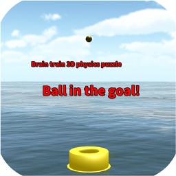 Ball in the goal!