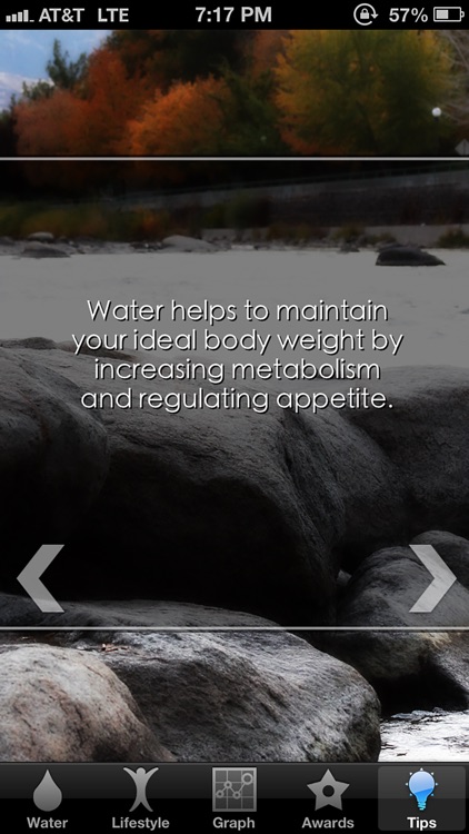 Water Your Body