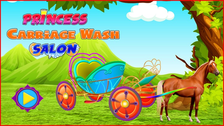 Princess Carriage Wash Salon