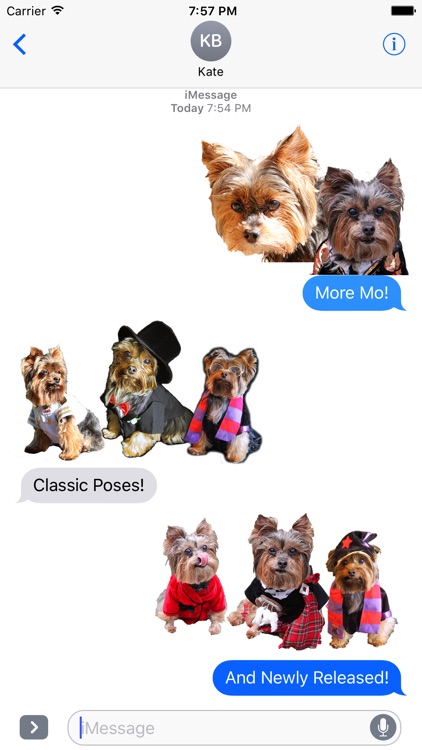 Mo Stickers