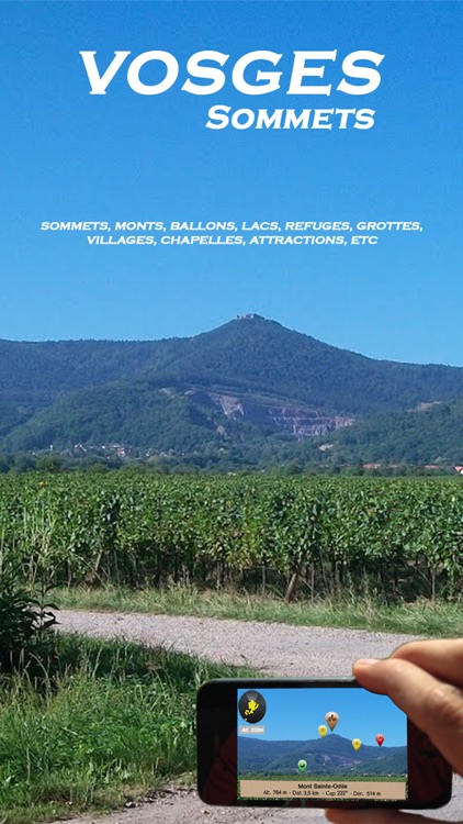 Vosges mountains