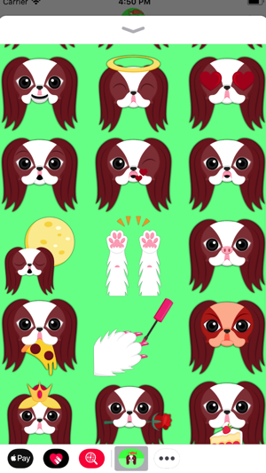 Red Sable Japanese Chin(圖1)-速報App