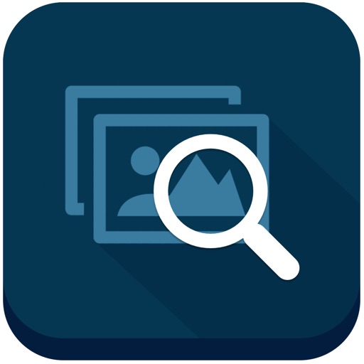 PSP Audit Icon