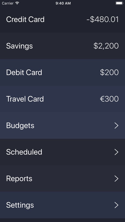 Debit & Credit screenshot-0