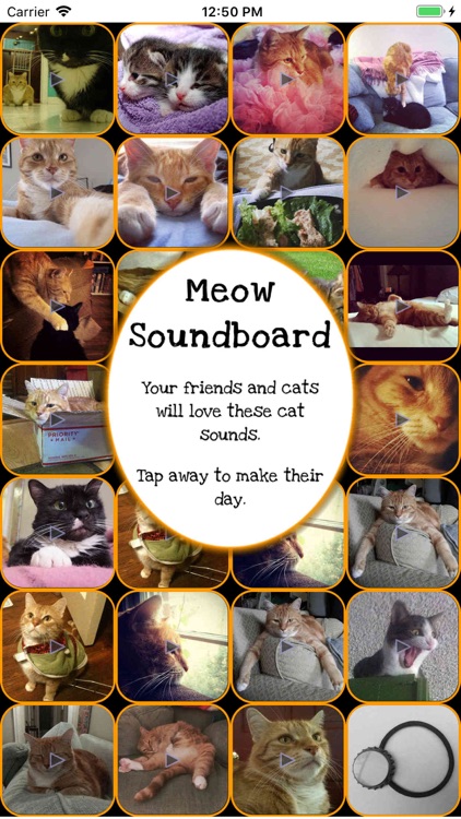 Meow Soundboard - Cat Sounds