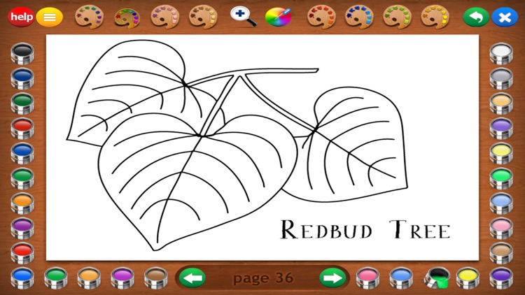 Coloring Book 4: Plants screenshot-7