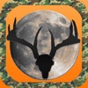 Deer Scouting & Scoring System