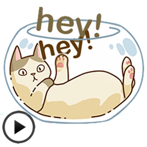 Animated Lazy Cat Sticker icon