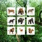 Icon Jungle Sudoku - Puzzle Game