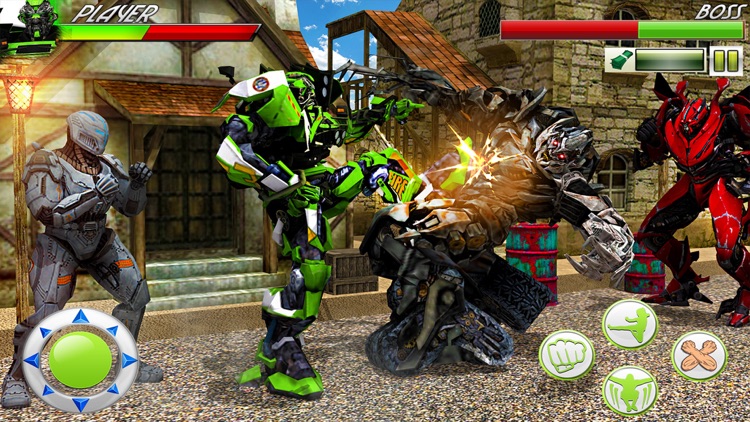 Robot Kung Fu