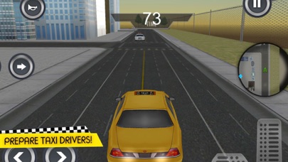 Crazy Taxi Cab Driver screenshot 2