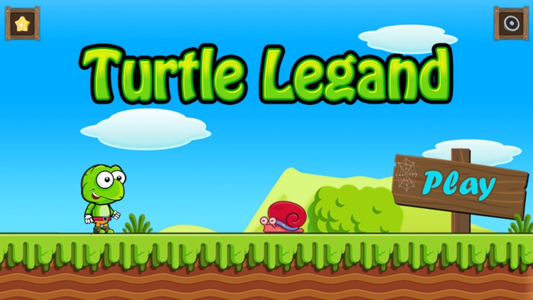 Super Turtle Run