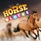 Horse Blocks - Puzzle Games