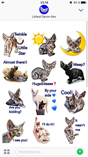 Littlest Devon Rex(圖1)-速報App