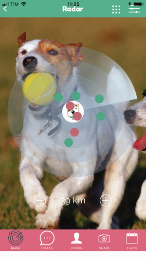 DogApp(圖1)-速報App