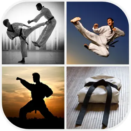 Martial Arts Wallpaper Cheats