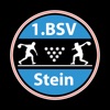 BSV App