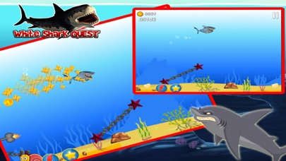 White Shark Quest screenshot 4