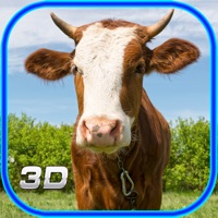 touro vaca corridas de estrada