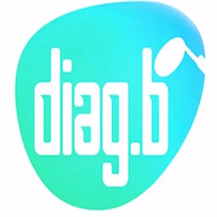 Diag.B Читы