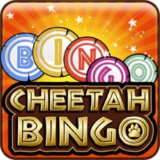 Activities of Cheetah Bingo