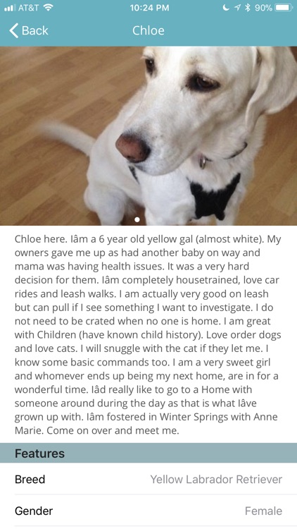 Pet Adoptions - CFO screenshot-3