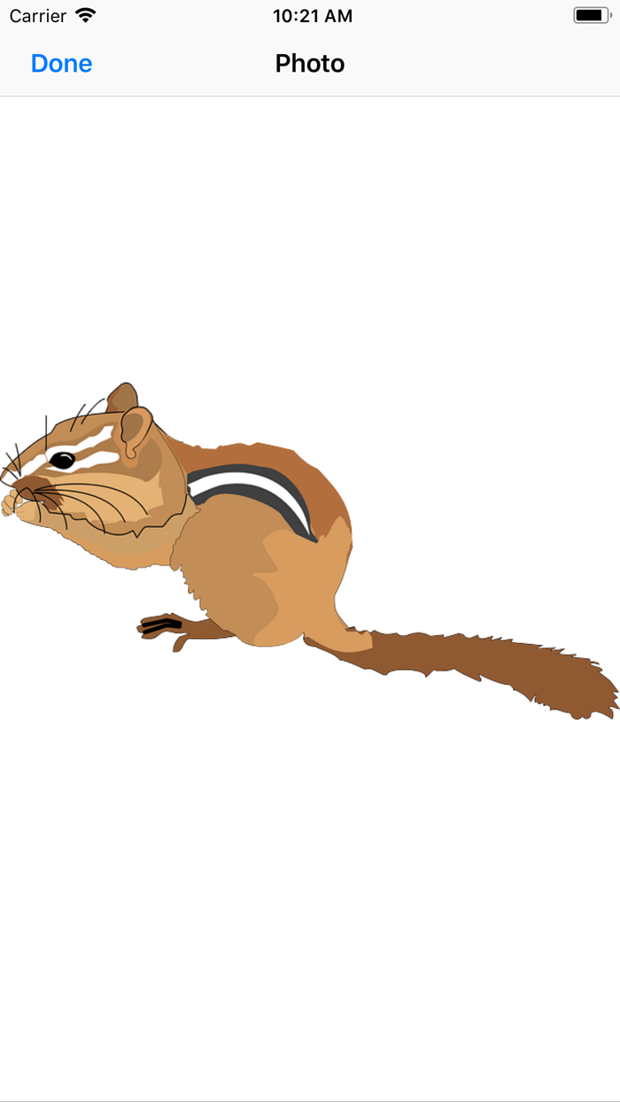 Chipmunk  Squirrel Stickers