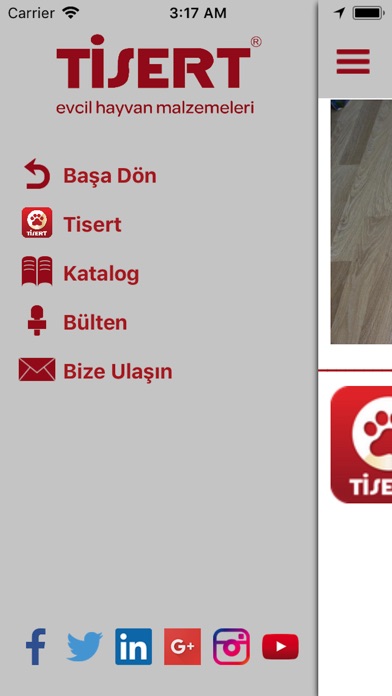 Tisert screenshot 2