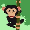 Puzzles Chimpanzee Page Jigsaw Learning Games