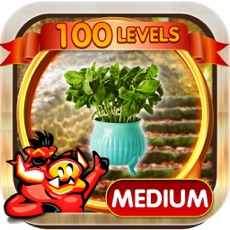 Activities of Steps Hidden Objects Games