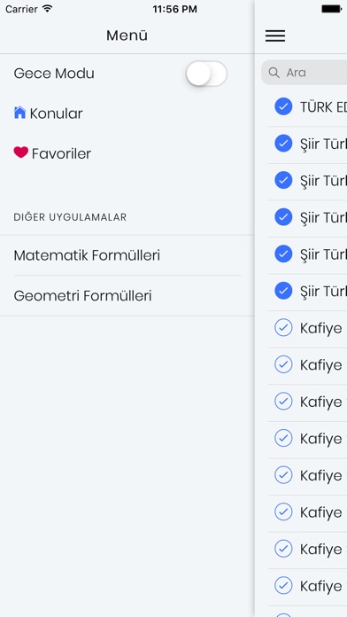 LYS Edebiyat Notları screenshot 3