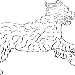 Vierpfotentreff Goldenstedt