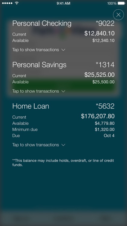 MoneyView by Park View FCU screenshot-3