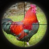 Chicken Hunter 3D
