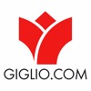 GIGLIO CLUB