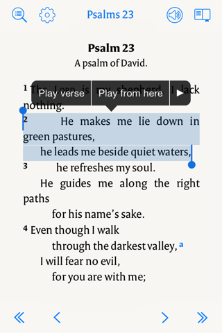 NIV Audio Bible: David Suchet - náhled