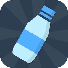 Activities of Water Bottle :Madness Backflip