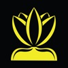 Lotus Social Media Management