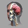 ザイゴット3D人体解剖 iPhone / iPad