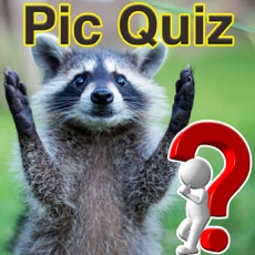 Activities of Pic Quiz 2018