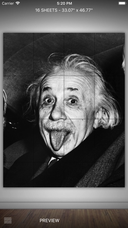 Raster Pro