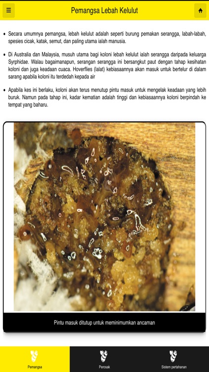 MARDI Kelulut screenshot-3