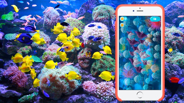 Aquarium for real fish(圖4)-速報App