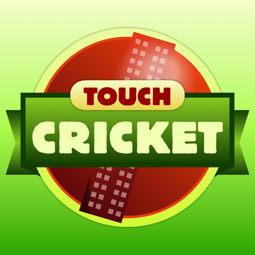 Touch Cricket