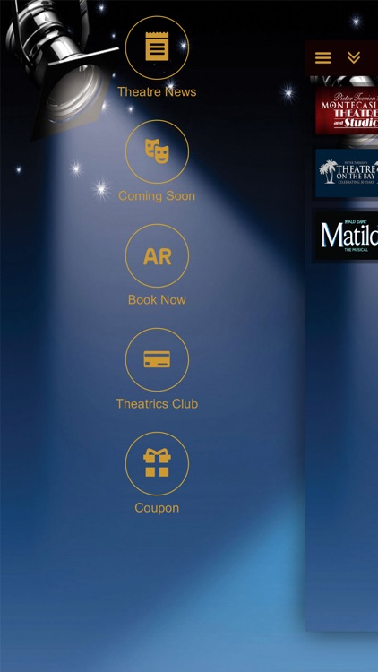 Pieter Toerien Productions