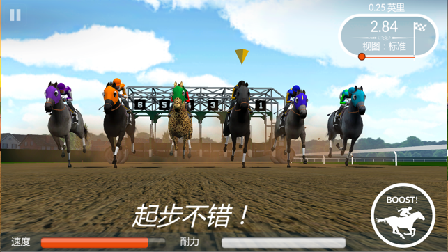 Photo Finish Horse Racing(圖2)-速報App