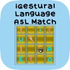 iGestural Language ASL Match
