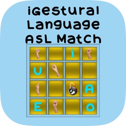 iGestural Language ASL Match