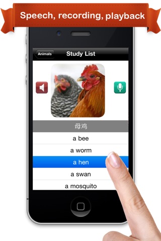 Learn Mandarin ® screenshot 3